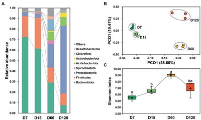 Dynamic variation of bacterial community assemblage and functional profiles during rice straw degradation